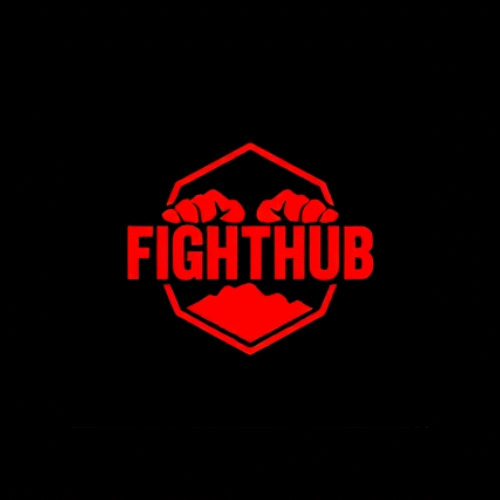 fighthub.xyz